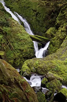 Cascading: Waterfall Near Lake Crescent