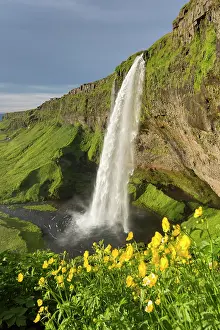 Seljalandsfoss: Waterfall Seljalandsfoss (66 m) - Iceland