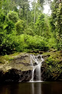 Primary: A waterfall and a small pool near river Danum