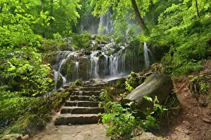 Steps: Waterfall steps lead to waterfall in forest