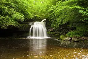 Features: Waterfall, Wensleydale, Yorkshire Dales, England