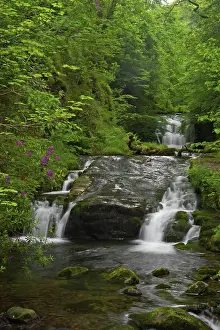 Exmoor: Waterfalls at Watersmeet