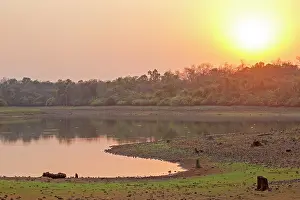Tadoba: Waterhole