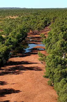 60km: Waterhole on Wills Creek on Bushy Park Cattle Station
