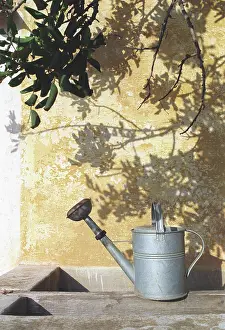 Poise: Watering can