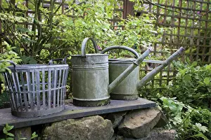 Relationship: Watering cans