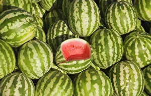 Lanatus: Watermelon