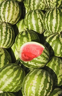 Lanatus: Watermelon