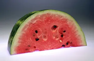 Pits: Watermelon