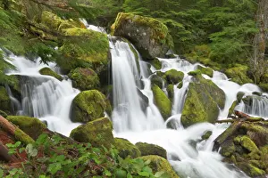 Watson: Watson creek, Oregon