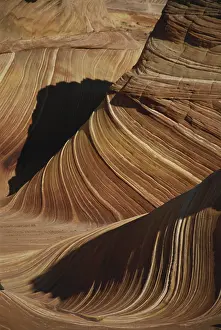 Bedding: The Wave, Arizona