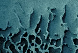 Textures: Wave eroded sandstone