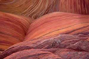 Sinuous: The Wave - an extraordinary area of sinuous eroded