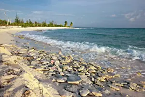 Crashing: Waves crashing on crushed coral and coral
