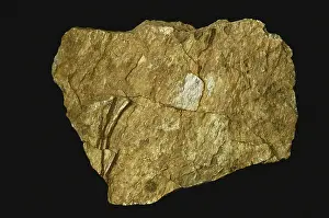 Crumbly: Shale