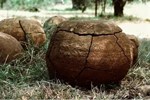 Concretions: WEATHERED SPHEROID CONCRETIONS