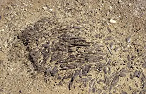 Qinghai: Weathering