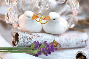 Pictures: Wedding birds, decorative figures, with lavender