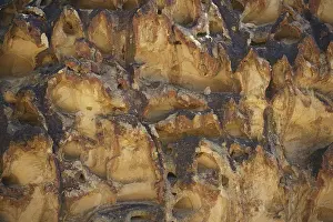 Tuff: Welded Tuff