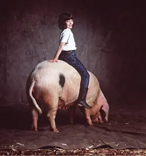 Owner: WELSH SOW PIG - with girl sitting on back
