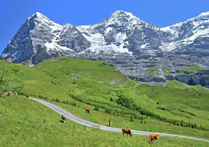 Bern: Wengernalp with Eiger and Mnnch, Wengen, Jungfrau