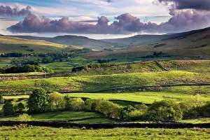 300817: Wesleydale - Near Hawes - Yorkshrie Dales - UK