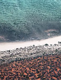 Stromatolite: West AUSTRALIA - Stromatolites