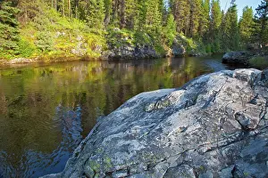 Kettle: West Fork of the Kettle River near Westbridge