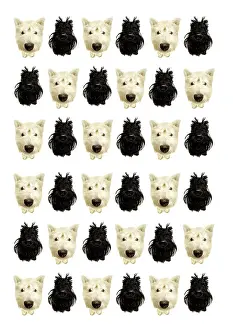 Composition: West Highland White Terrier and a Scottish Terrier