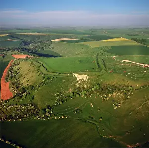 Forts: Westbury White Horse, and an Iron Age Bratton Camp