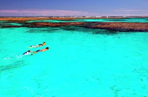 Snorkeller: Western Australia - couple snorkelling in the crystalline