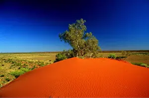 Survival: Western Australia - Little Sandy desert (part of