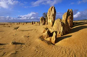 Nambung: Western AUSTRALIA - The Pinnacles Desert, Nambung