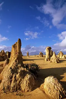 Nambung: Western AUSTRALIA - The Pinnacles Desert, Nambung