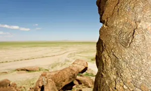 Puzzle: Western Keeled Snake - lying against a near vertical