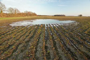 Esdorp: Wet agricultural field frozen