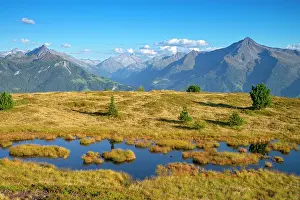 Zillertal: Wet biotope at Melchboden, behind Zillertaler Alps