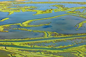 Aegean: Wetland on the Aegean coast, Turkey