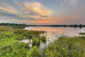 Bogland: Wetland sunset Westerbroek