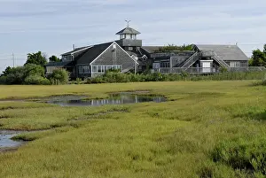 Halophyte: The Wetlands Institute