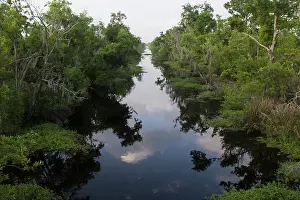 Degradation: Wetlands in Louisiana