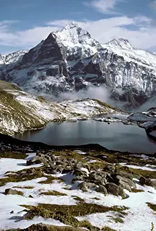 Rises: The Wetterhorn rises above the Bachsee in