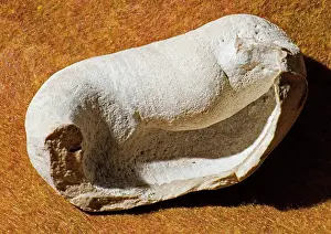 Pliocene: Whale Ear Bone Fossil