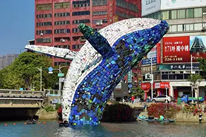 Installation: Whale in Love ecological art installation in