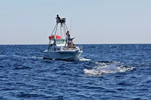 Gilbraltar: Whale Research - researchers on boat trying obtain