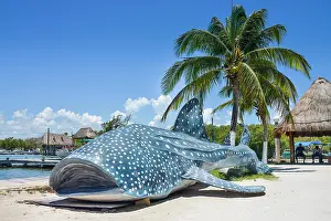 Yucatan: Whale shark, dummy, Isla Holbox, Quintana Roo, Mexico