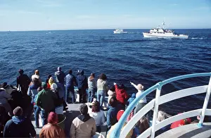 Francois Gohier: WHALE WATCHING - from boat