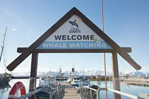 Signage: Whale watching signage promoting wildlife tourism
