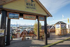 Signage: Whale watching signage promoting wildlife tourism
