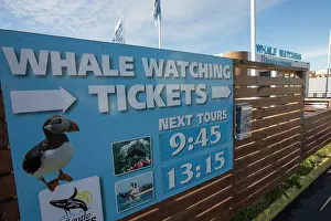 Signage: Whale watching signage promoting wildlife tourism